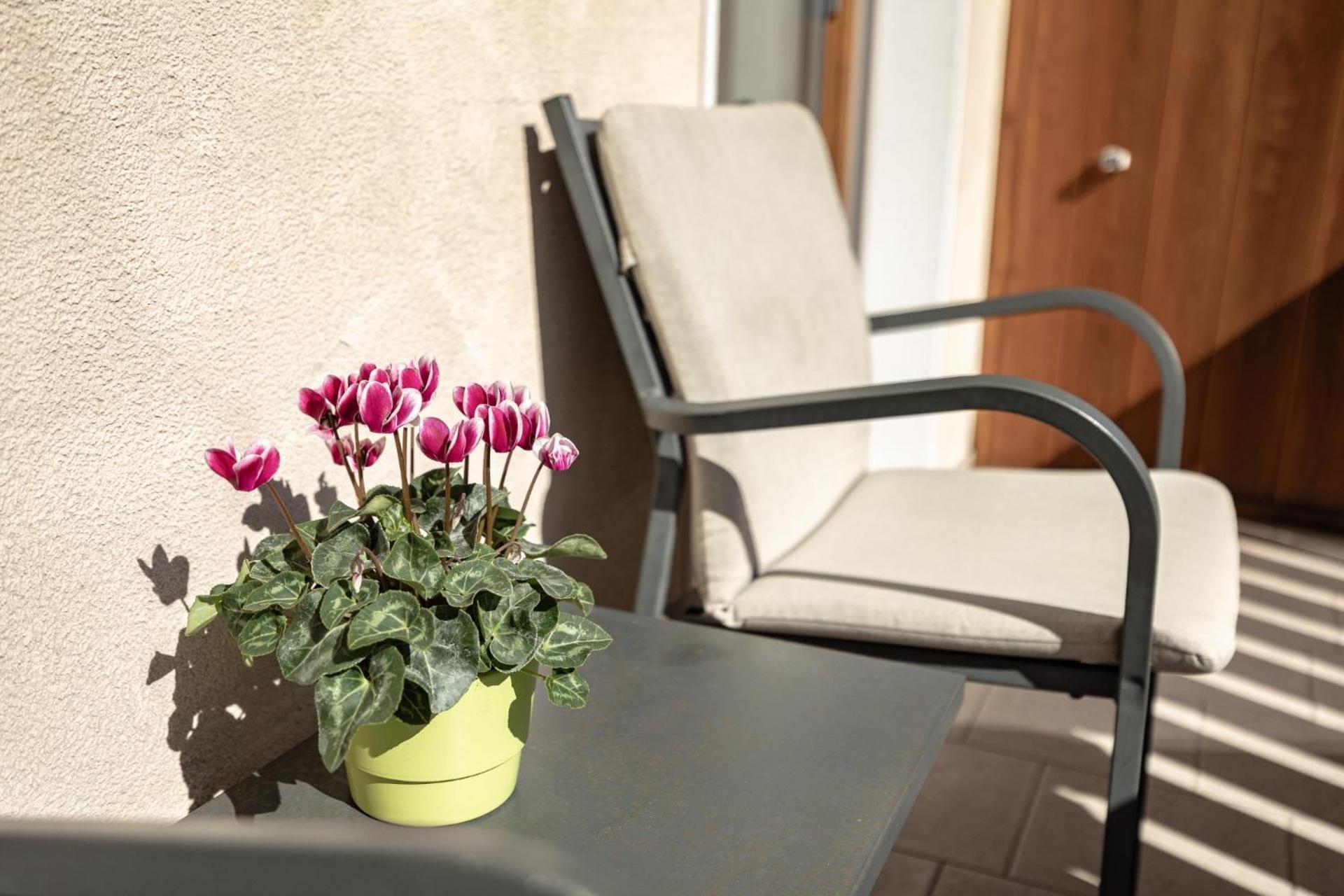 Apartments Soval Santa Cristina Val Gardena ภายนอก รูปภาพ